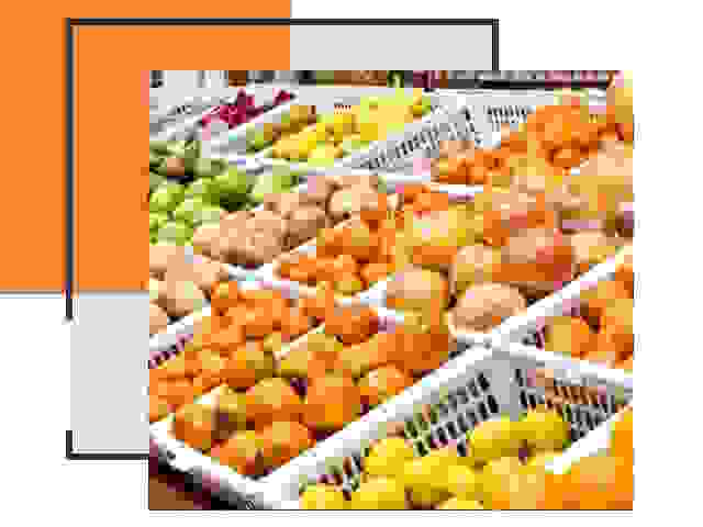 Надежная перевозка продуктов в Новодвинске