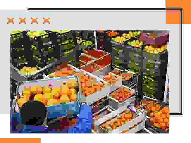 Перевозка скоропортящихся продуктов в Новодвинске